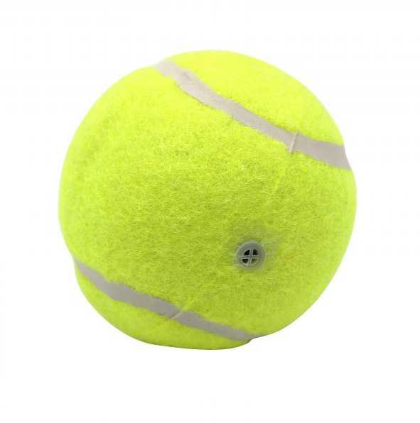 kutya játék tenniszlabda