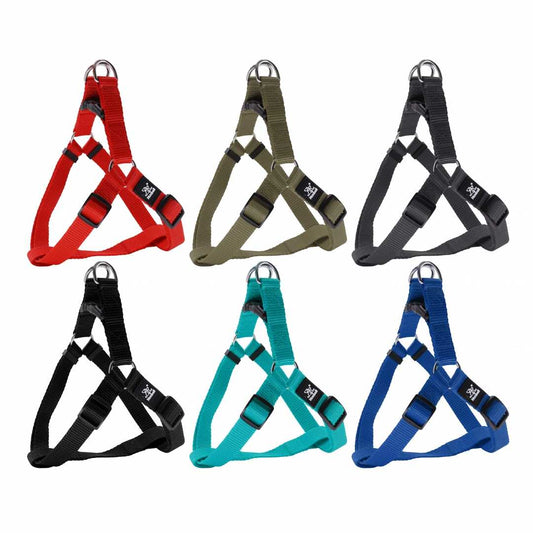 1.5 Nunbell Kutyahám