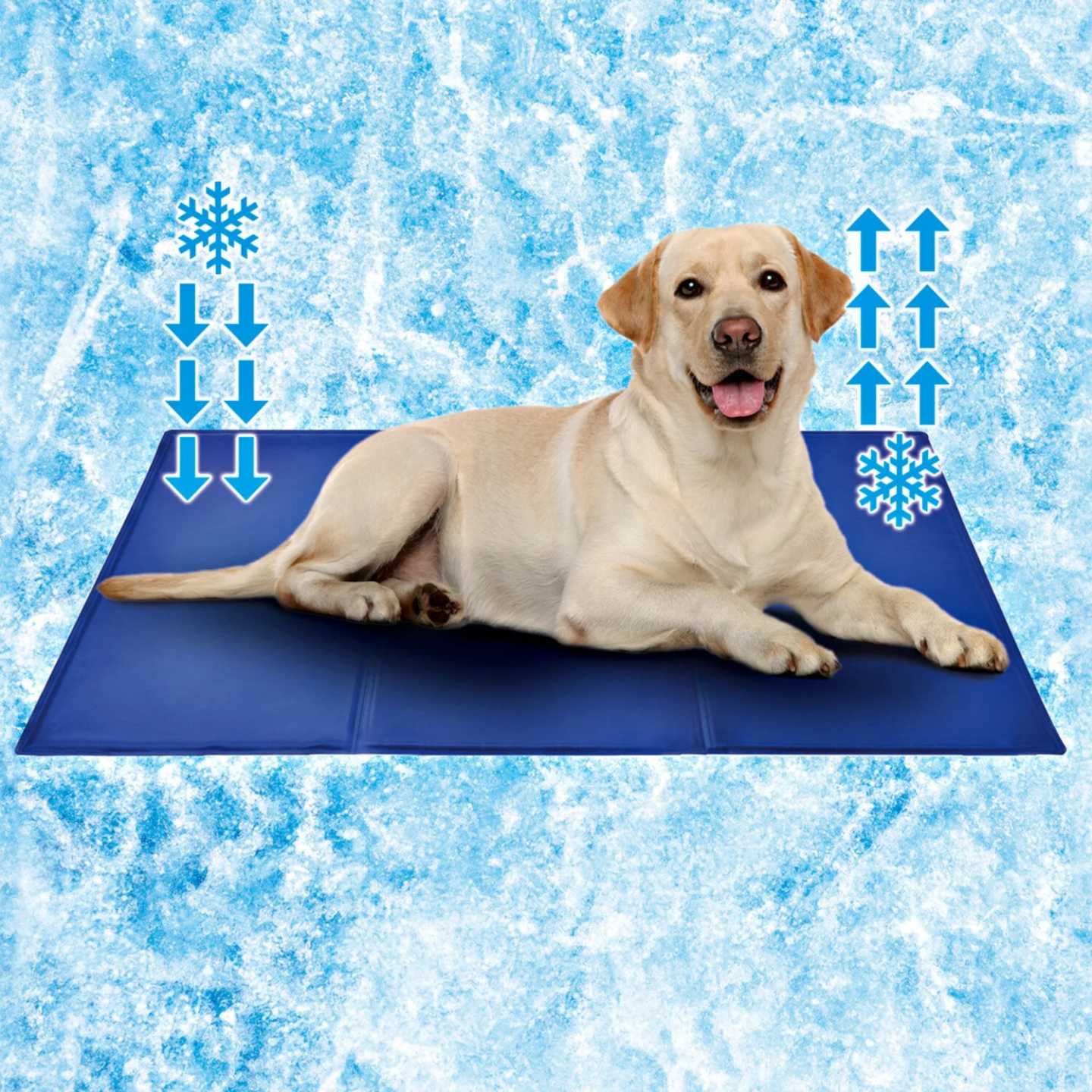 Óriási kutya hűtőszőnyeg-60x100cm