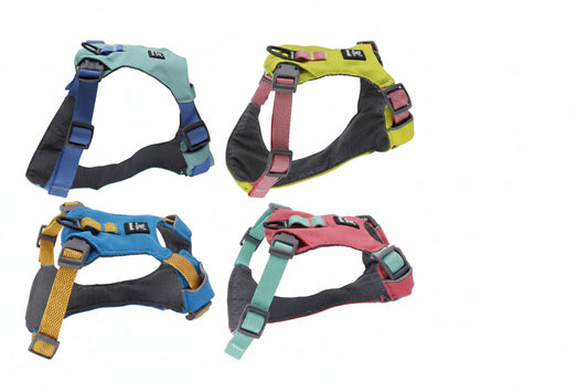 Kutyahám
